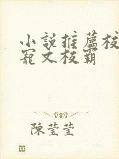 小说推荐校园甜宠文校霸