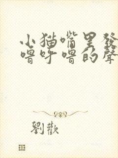 小猫嘴里发出呼噜呼噜的声音