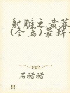 射雕之黄蓉外传(全篇)最新章节列表