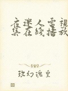 夜迷人电视剧全集在线播放免费观看