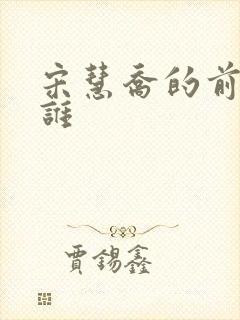 宋慧乔的前夫是谁