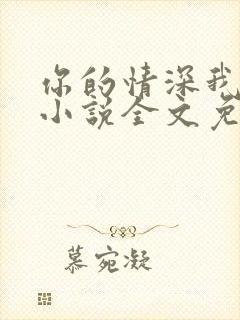 你的情深我不配小说全文免费阅读全文封面