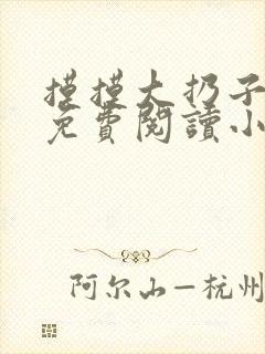 摸摸大扔子小说免费阅读小说