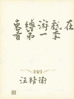 束缚游戏在线观看第一季