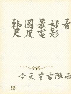 韩国最好看的大尺度电影封面