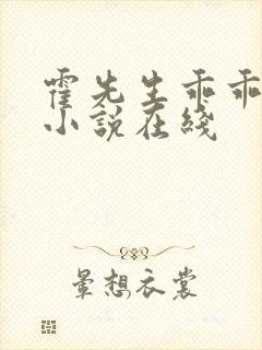 霍先生乖乖宠我小说在线封面