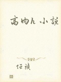 高肉h 小说