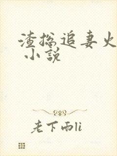 渣总追妻火葬场 小说