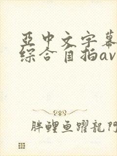 亚中文字幕国产综合自拍av