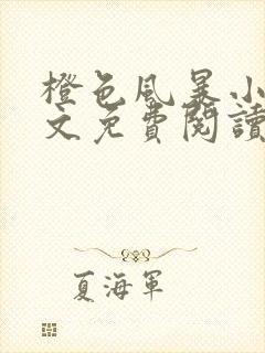 橙色风暴小说全文免费阅读无弹窗封面