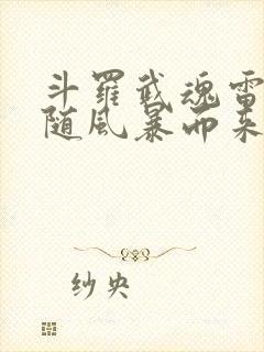 斗罗武魂雷伊我随风暴而来免费阅读