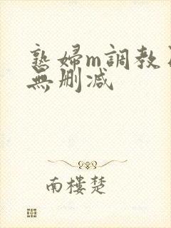 熟妇m调教日记无删减