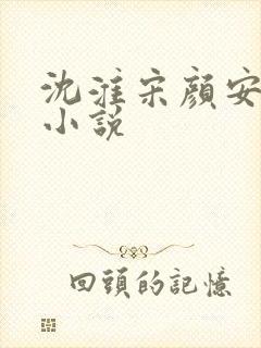 沈淮宋颜安欢的小说