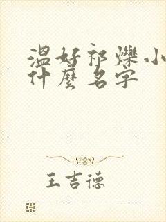 温好祁烁小说叫什么名字封面