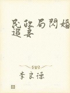 民政局闪婚墨少追妻