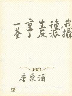 一重生后,我娇养了反派摄政王封面