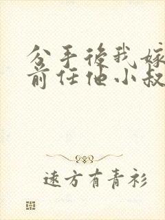 分手后我嫁给了前任他小叔(1v1 调教