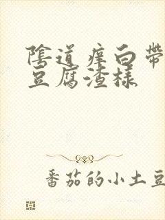 阴道痒白带发黄豆腐渣样