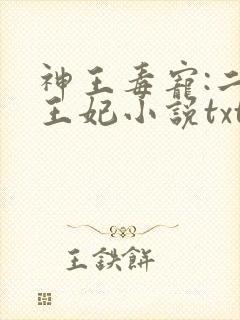 神王毒宠:二嫁王妃小说txt