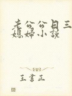老公公日三个儿媳妇小说封面