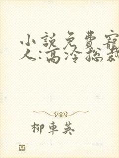 小说免费宠婚撩人:高冷总裁默默爱