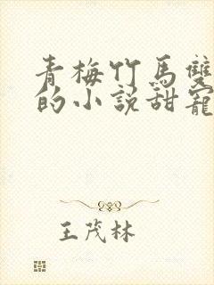 青梅竹马双学霸的小说甜宠文