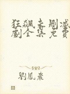 狂飙未删减电视剧全集免费播放43集在线观看