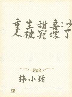 重生甜妻:少夫人被宠坏了