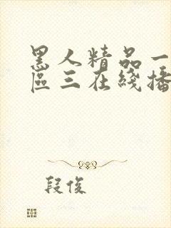 黑人精品一区二区三在线播放