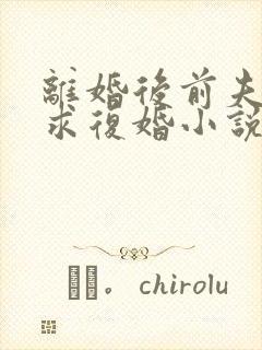 离婚后前夫哭着求复婚小说完整版本