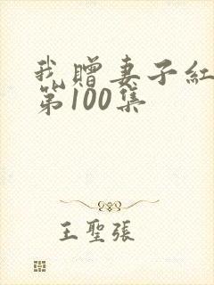 我赠妻子红缨枪第100集封面