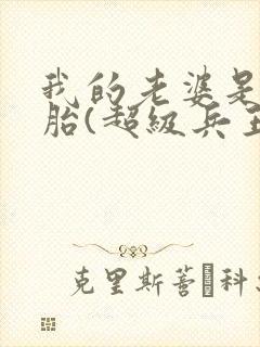 我的老婆是双胞胎(超级兵王在都市)封面