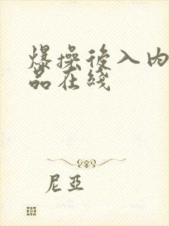 爆操后入内射精品在线