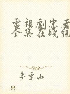 电视剧忠者无敌全集在线观看免费高清封面