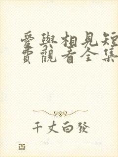 爱与相见短剧免费观看全集在线