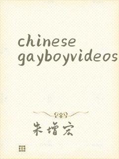 chinesegayboyvideos
