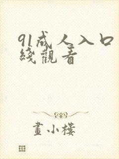 91成人入口在线观看