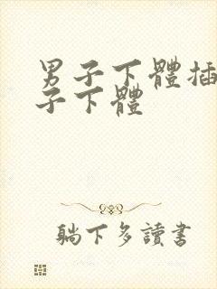 男子下体插入女子下体封面