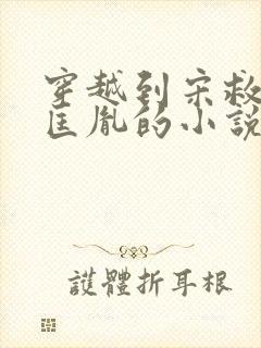 穿越到宋救了赵匡胤的小说