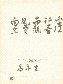 向风而行电视剧免费观看12集