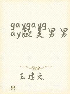 gaygaygay欧美男男封面