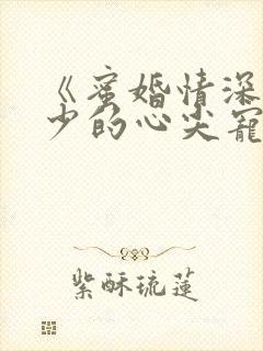 《蜜婚情深:战少的心尖宠》