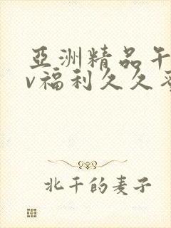 亚洲精品午夜av福利久久蜜桃封面