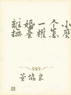 离婚一个小孩子抚养权怎么判定