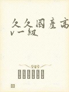 久久国产高清av一级封面