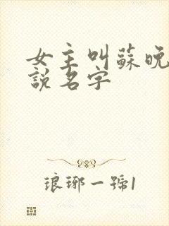 女主叫苏晚的小说名字