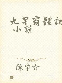 九星霸体诀龙尘 小说