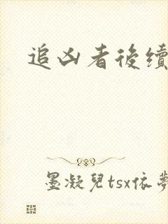 追凶者后续剧情