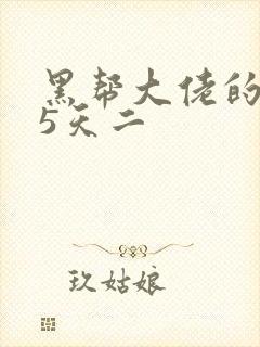 黑帮大佬的365天二