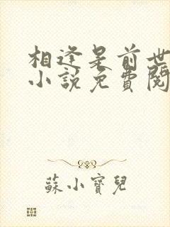 相逢是前世注定小说免费阅读